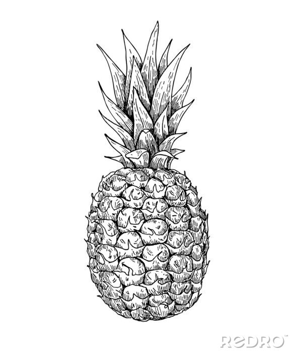Papier peint à motif  Ananas noir et blanc