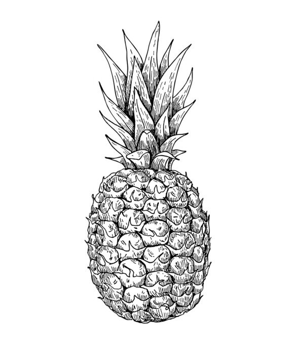 Papier peint à motif  Ananas noir et blanc