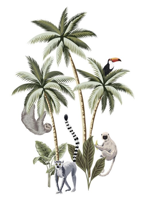 Papier peint à motif  Animaux de la jungle isolés sur fond blanc
