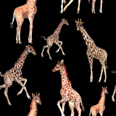 Papier peint à motif  Animaux de safari sur fond noir