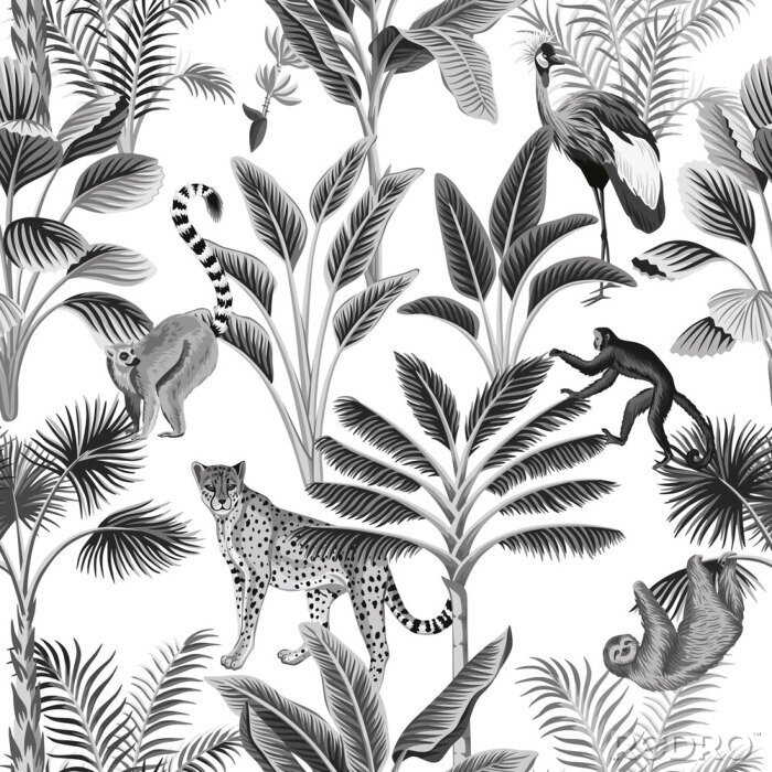Papier peint à motif  Animaux noirs et blancs sur des arbres tropicaux