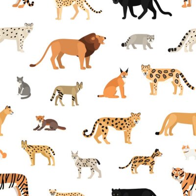 Papier peint à motif  Animaux sauvages de safari isolés sur fond blanc