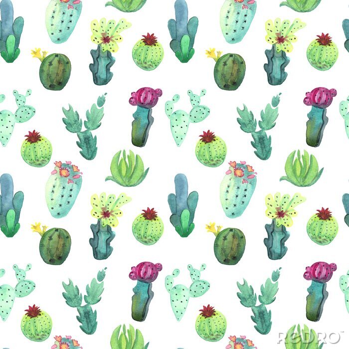 Papier peint à motif  Aquarelle cactus seamless pattern. Cactus succulents colorés