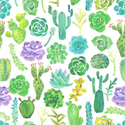 Papier peint à motif  Aquarelle, cactus, succulent, seamless, modèle