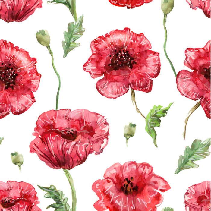 Papier peint à motif  Aquarelle coquelicots sur fond blanc