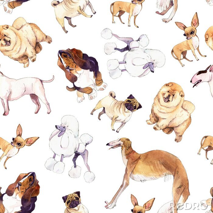 Papier peint à motif  Aquarelle de chiens de différentes races