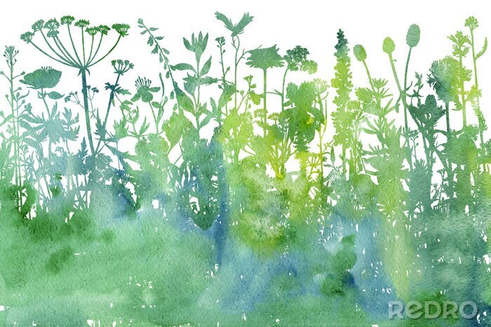 Papier peint à motif  Aquarelle de plantes des champs