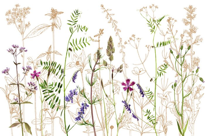 Papier peint à motif  aquarelle dessin fleurs et plantes