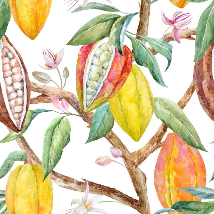 Papier peint à motif  Aquarelle et fruits de cacaoyer