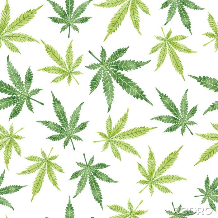 Papier peint à motif  Aquarelle, marijuana, feuilles, seamless, modèle Vector fond de cannabis.