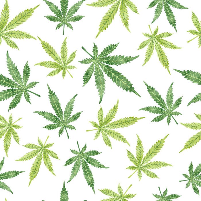 Papier peint à motif  Aquarelle, marijuana, feuilles, seamless, modèle Vector fond de cannabis.