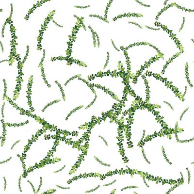 Papier peint à motif  Aquarelle modèle sans soudure avec des herbes et des feuilles.