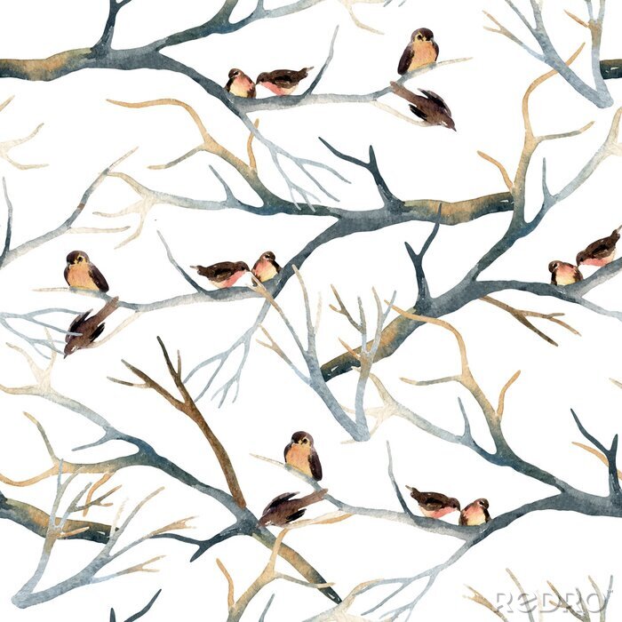 Papier peint à motif  Aquarelle, Oiseaux, arbre, branches