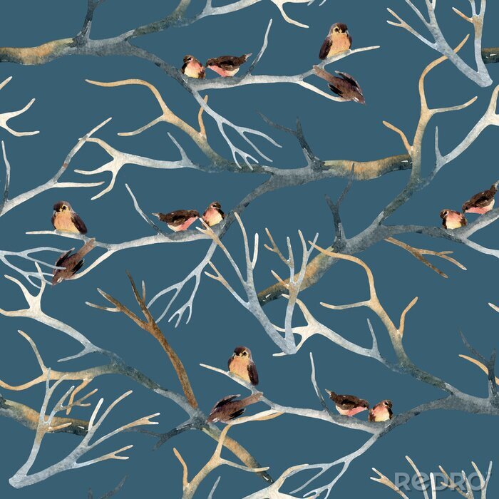Papier peint à motif  Aquarelle, Oiseaux, arbre, branches