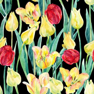 Papier peint à motif  Aquarelle, ressort, tulipes, champ, seamless, modèle