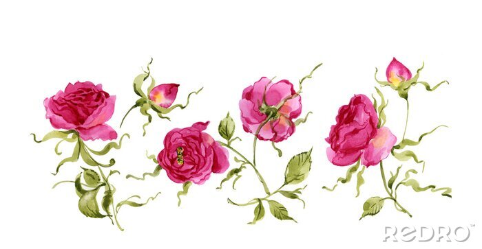 Papier peint à motif  Aquarelle rose bouclé