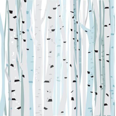 Papier peint à motif  Arbres blancs - bouleaux dans la forêt