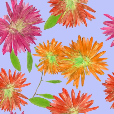 Papier peint à motif  Asters panachés dans le ciel