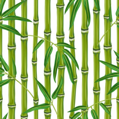 Papier peint à motif  Bambou gros plan
