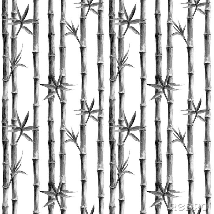 Papier peint à motif  Bambou noir et blanc