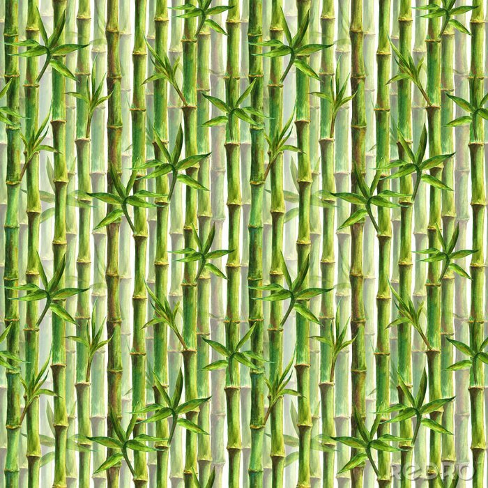 Papier peint à motif  Bambous densément plantés