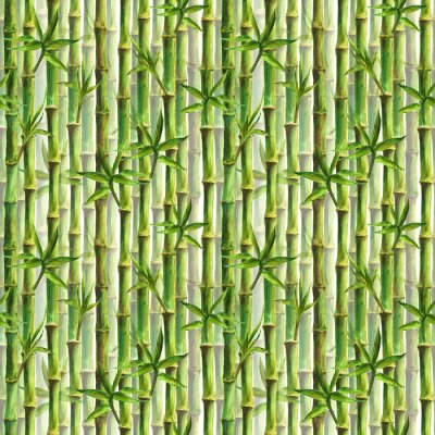 Papier peint à motif  Bambous densément plantés