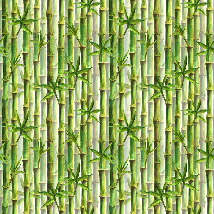 Papier peint à motif  Bambous densément plantés