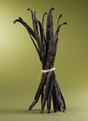 Bâtons de vanille ficelés