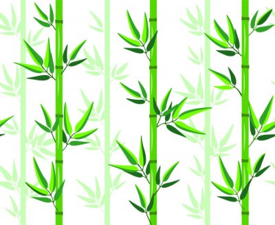 Papier peint à motif  Beau bambou aux feuilles vertes