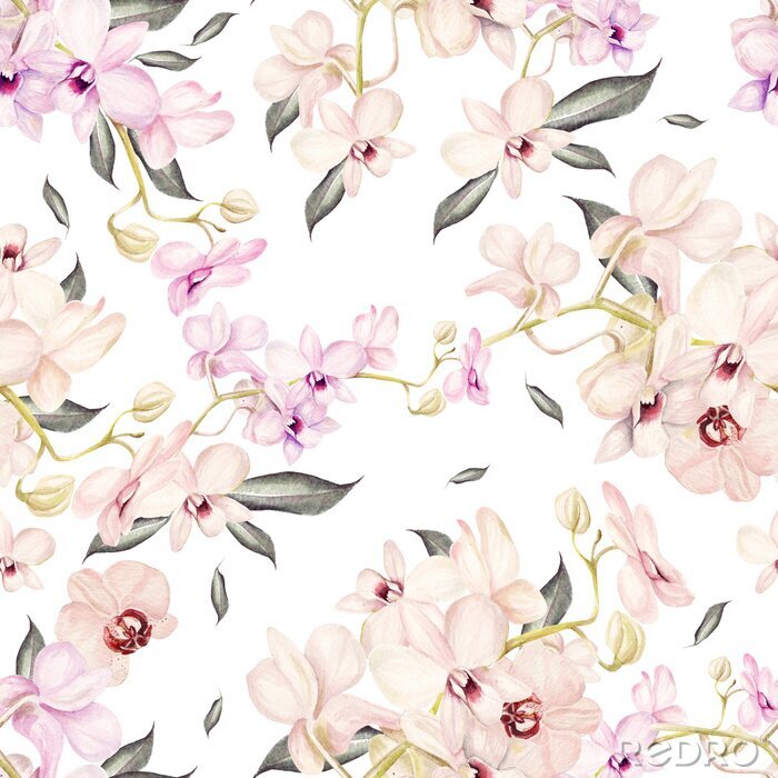 Papier peint à motif  Beau motif d'aquarelle avec des fleurs d'orchidées. Illustration.