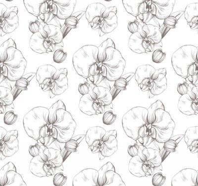 Papier peint à motif  Beau vecteur de fleurs d'orchidées