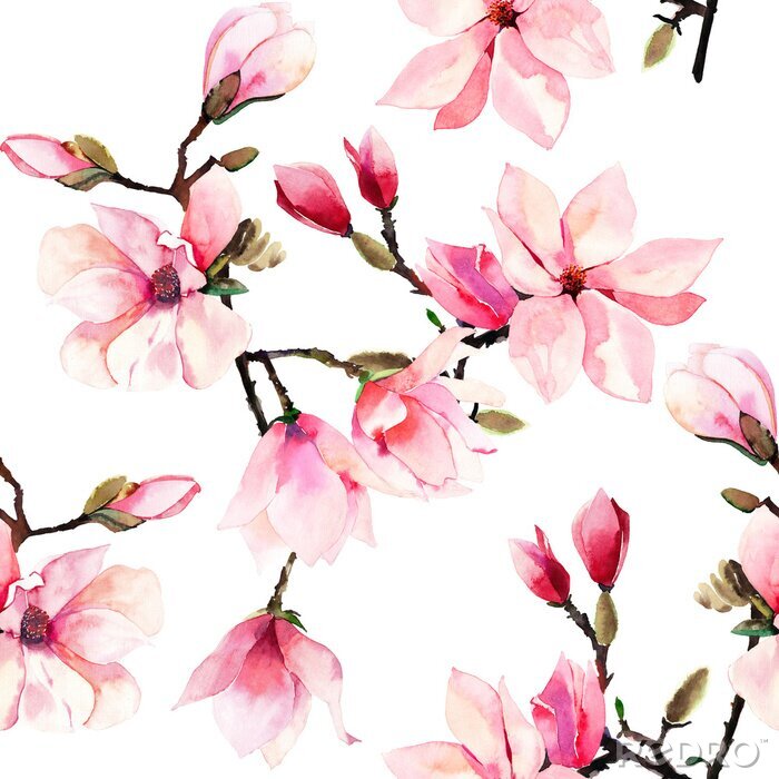 Papier peint à motif  Beautiful lovely tender herbal wonderful floral summer pattern of a pink Japanese magnolia flowers watercolor hand illustration. Perfect for textile, wallpapers, invitation, wrapping paper, phone case