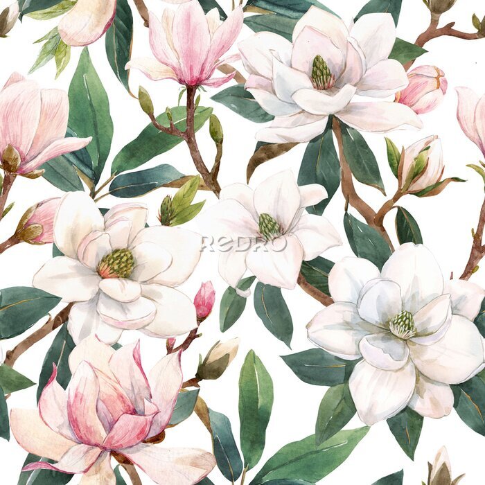Papier peint à motif  Beautiful seamless pattern with hand drawn watercolor gentle white and pink magnolia flowers. Stock illustration.
