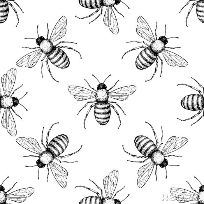 Papier peint à motif  Bee vector seamless pattern. Hand drawn insect background. 