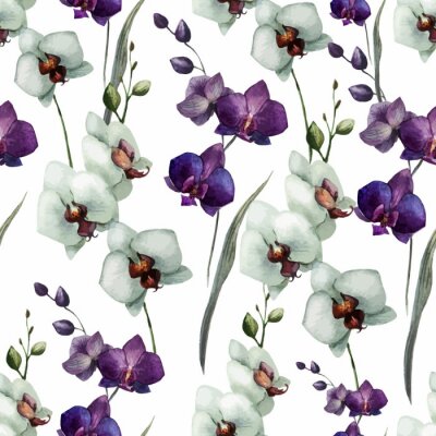 Papier peint à motif  Belle orchidée flower7