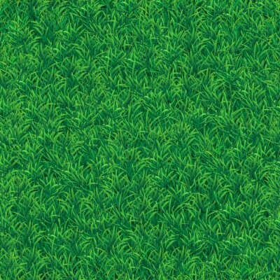 Papier peint à motif  Belle prairie dense