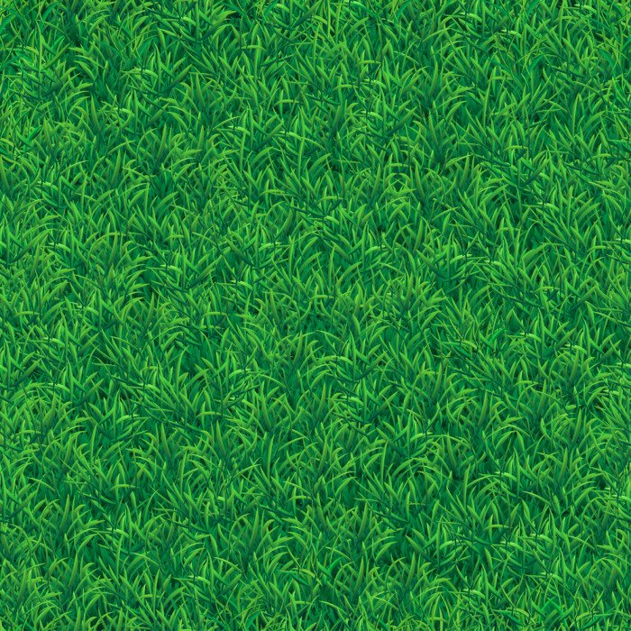 Papier peint à motif  Belle prairie dense