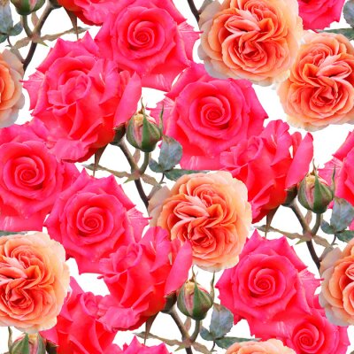 Papier peint à motif  Belles fleurs roses