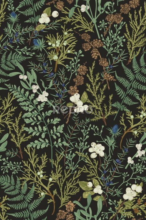 Papier peint à motif  Botanical seamless pattern. Vintage.
