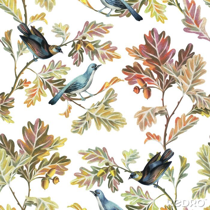 Papier peint à motif  Botanical seamless pattern with birds, oak branches, leaves and acorns. Nature motif drawn by color pencils isolated on white. Great for bedding, fabric, clothes, wallpaper, wrapping.