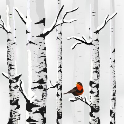 Bouleau dans la neige et un oiseau