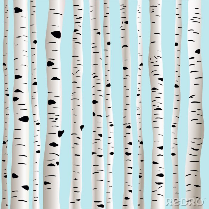 Papier peint à motif  Bouleaux en 3D sur fond bleu