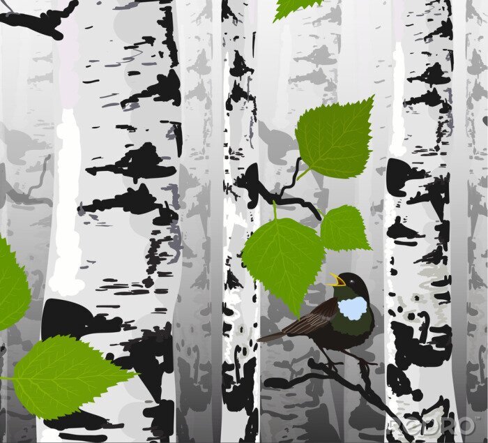 Papier peint à motif  Bouleaux noirs et blancs et un oiseau