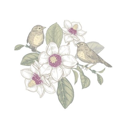 Branche de magnolia et oiseaux aux pastels