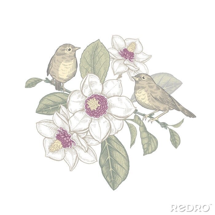 Papier peint à motif  Branche de magnolia et oiseaux aux pastels