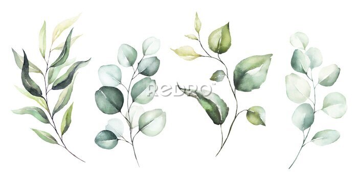 Papier peint à motif  Branches de plantes à feuilles vertes sur fond blanc