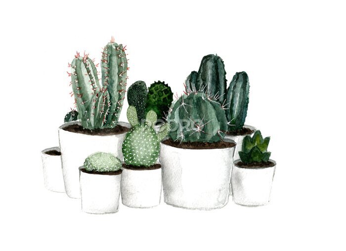 Papier peint à motif  Cactus en pot de différents types peints à l'aquarelle