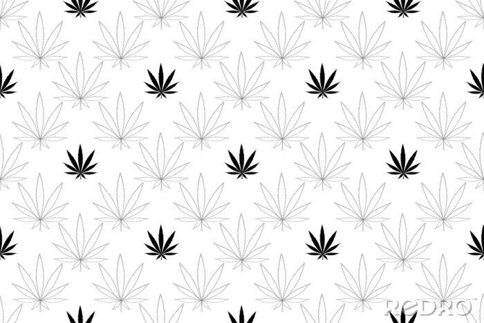 Papier peint à motif  Cannabis seamless pattern. Marijuana floral pattern. Flat leaf of weed cannabis, monochrome black and whit. Marijuana design element seamless for fabric vector illustration.