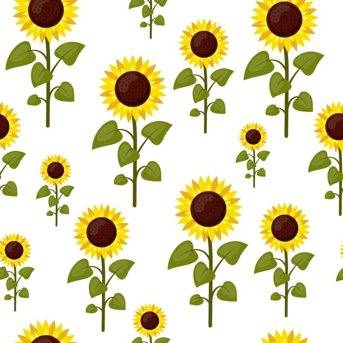 Papier peint à motif  Caricature de tournesols de modèle sans couture isolé sur fond blanc. Illustration vectorielle de l'été agriculture style plat