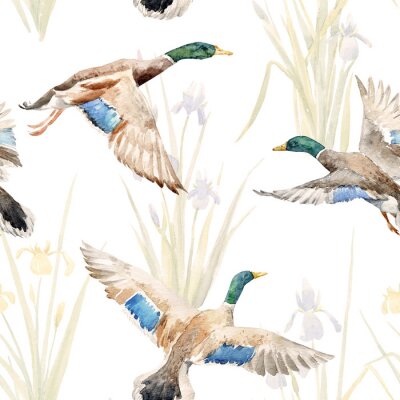 Papier peint à motif  Carré d'aquarelle avec des canards
